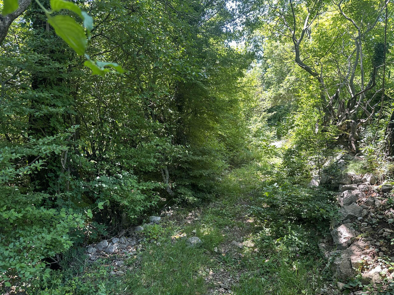 Земля в Добра Воде, Черногория, 4 196 м² - фото 8