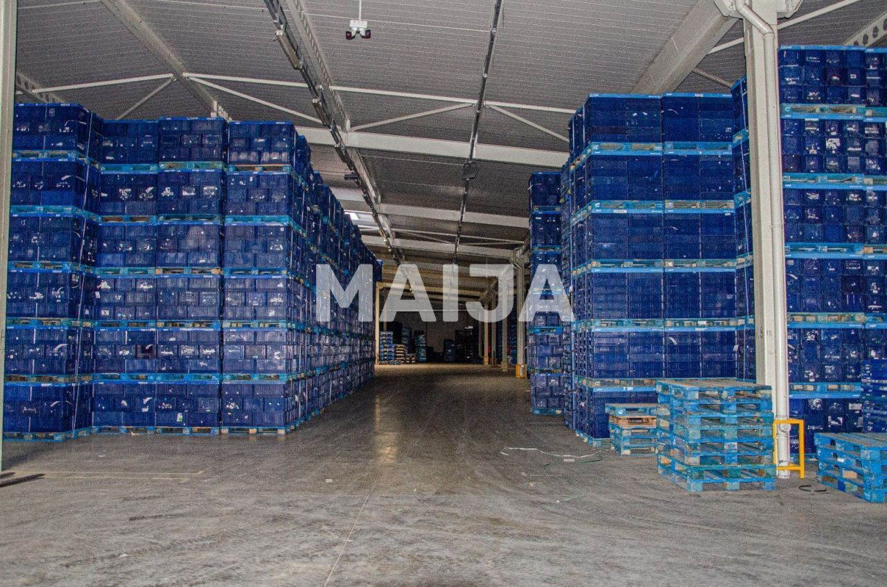 Офис Крайова, Румыния, 18 432 м² - фото 3