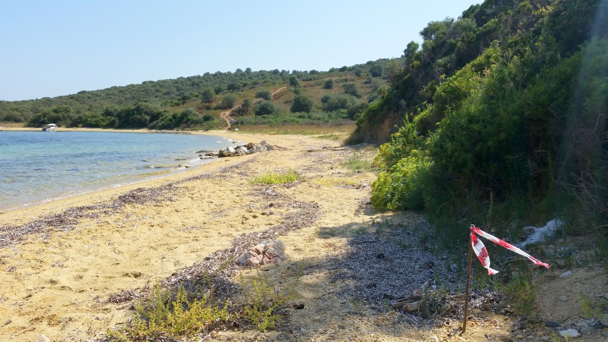 Земля на Халкидиках, Греция, 12 000 м² - фото 3