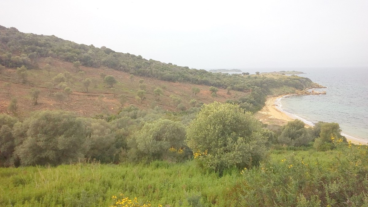 Земля на Халкидиках, Греция, 12 000 м² - фото 5