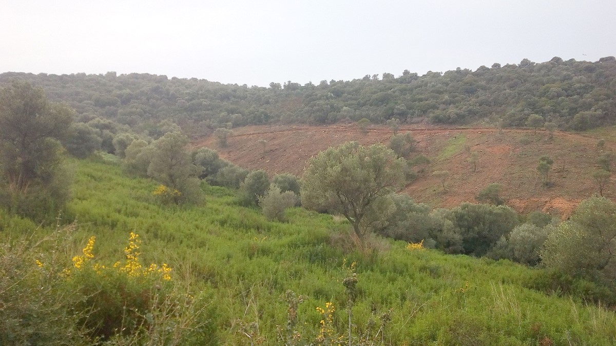 Земля на Халкидиках, Греция, 12 000 м² - фото 6