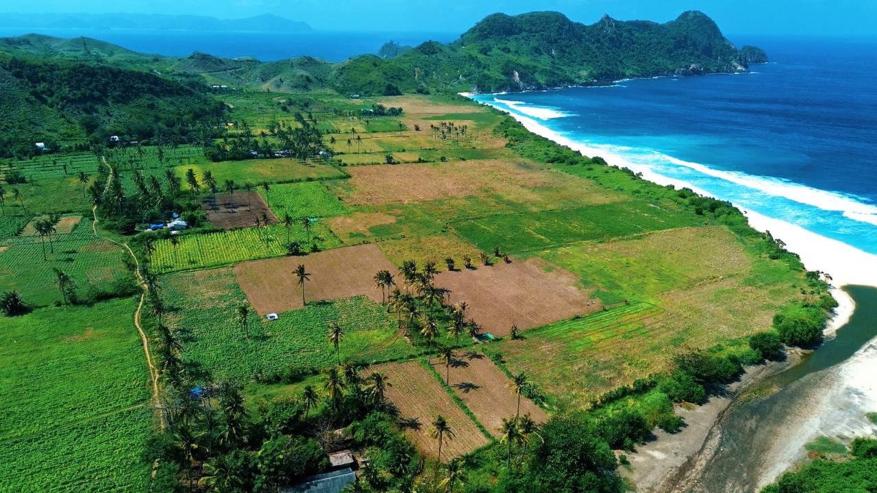 Земля в Нуса-Лембонган, Индонезия, 19 500 сот. - фото 3