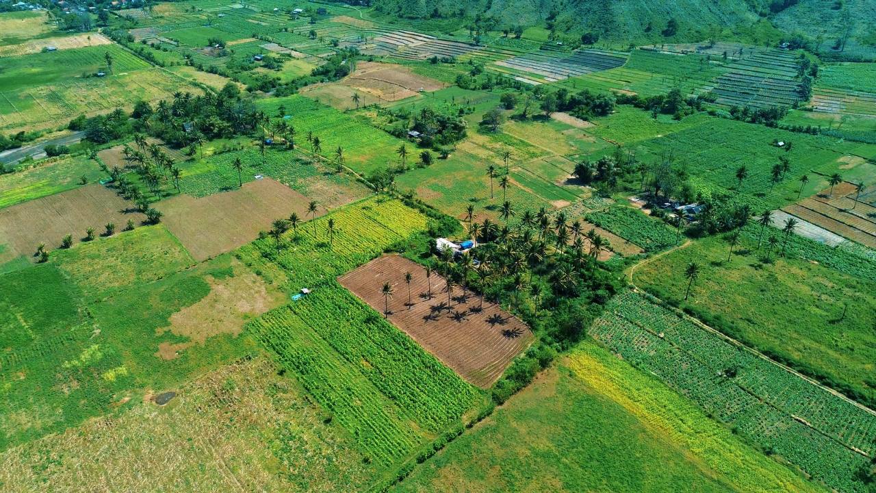 Земля в Нуса-Лембонган, Индонезия, 19 500 сот. - фото 5