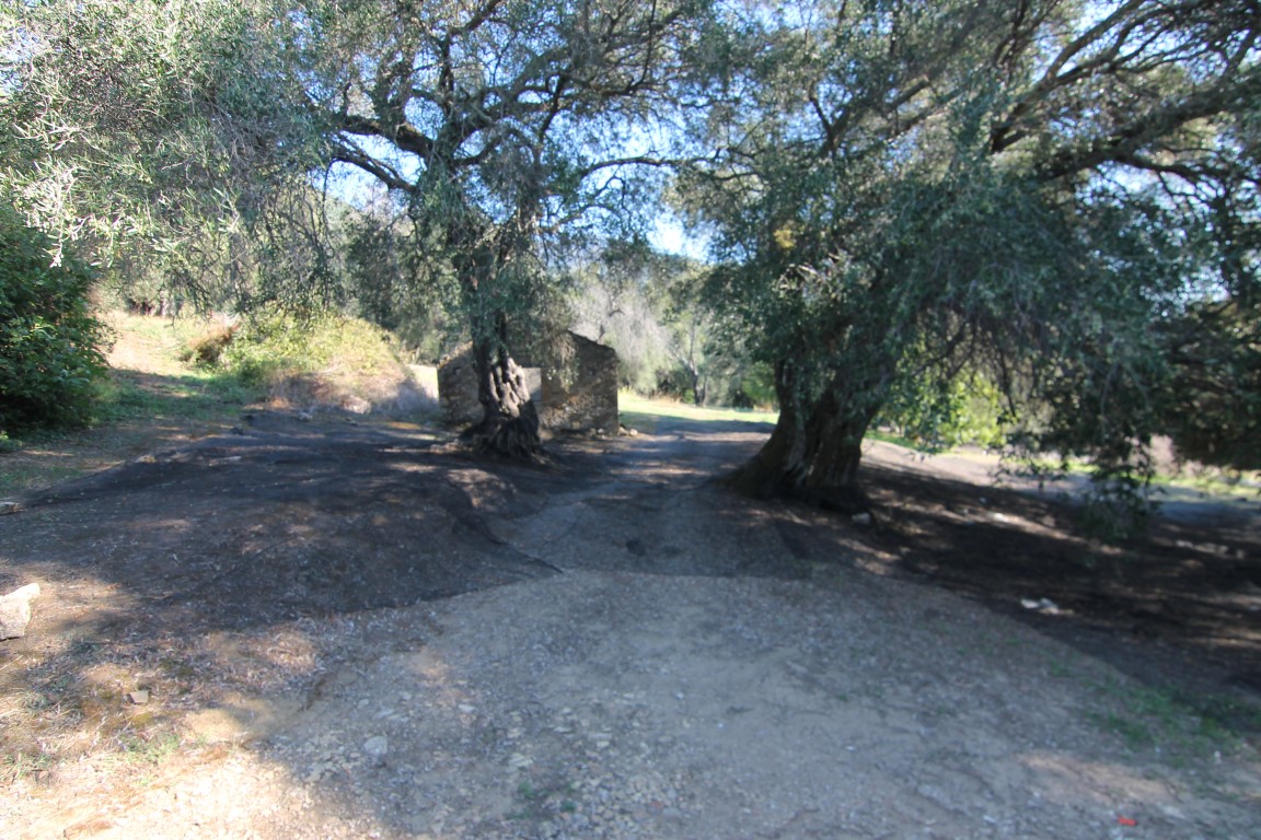 Земля на Корфу, Греция, 11 000 м² - фото 1