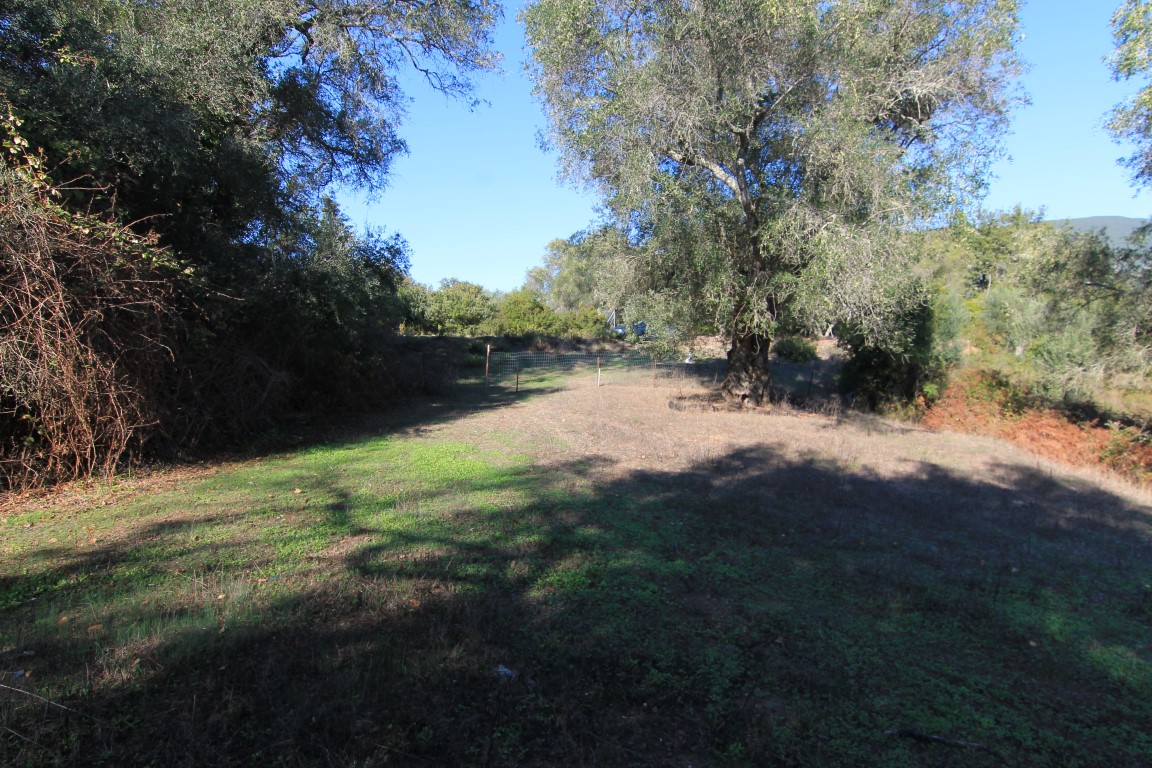 Земля на Корфу, Греция, 11 000 м² - фото 3