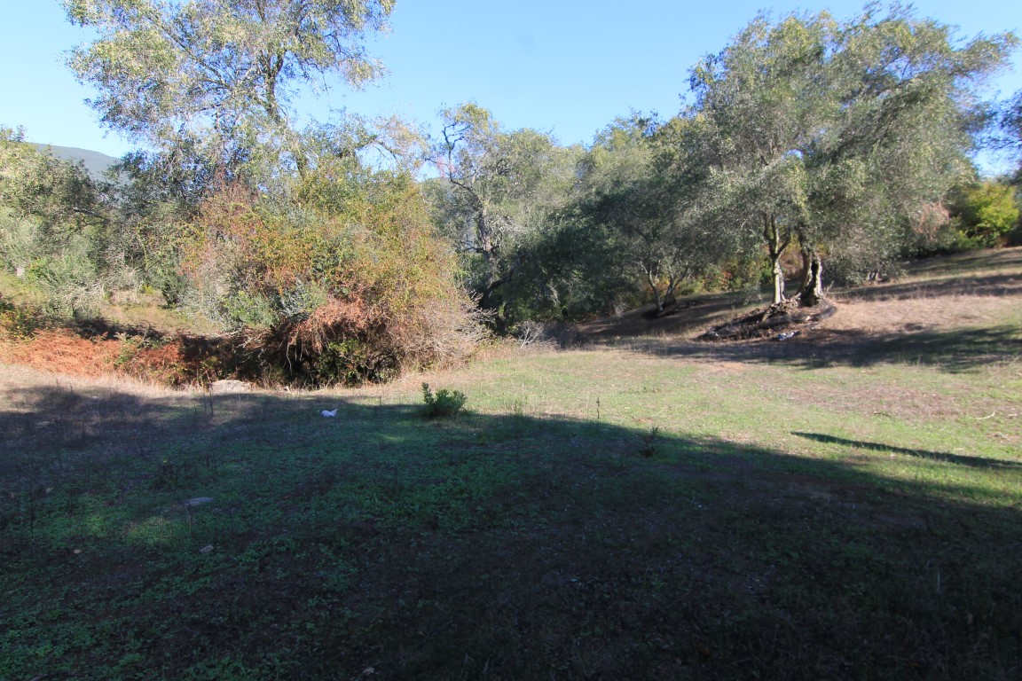 Земля на Корфу, Греция, 11 000 м² - фото 4