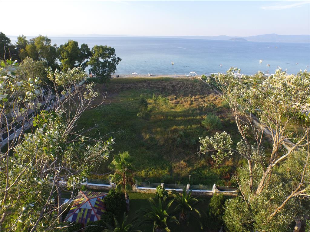 Земля на Кассандре, Греция, 4 800 м² - фото 4