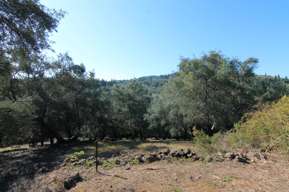 Земля на Корфу, Греция, 11 000 м² - фото 10