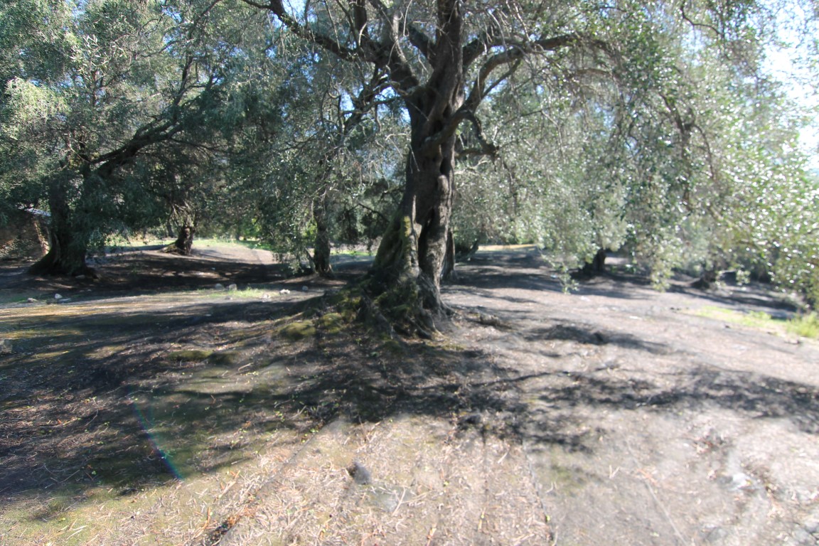 Земля на Корфу, Греция, 11 000 м² - фото 12