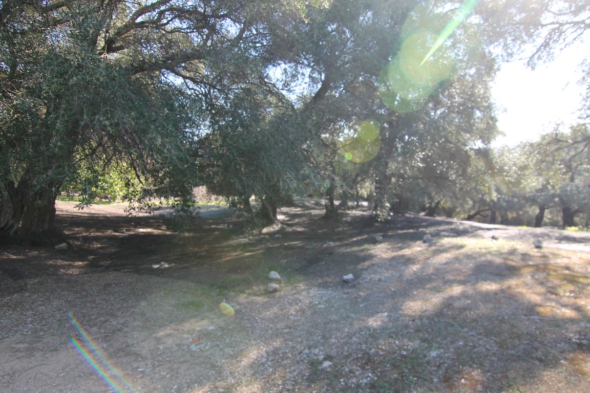 Земля на Корфу, Греция, 11 000 м² - фото 14