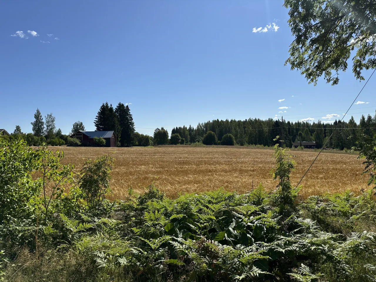 Дом в Савонлинне, Финляндия, 60 м² - фото 5