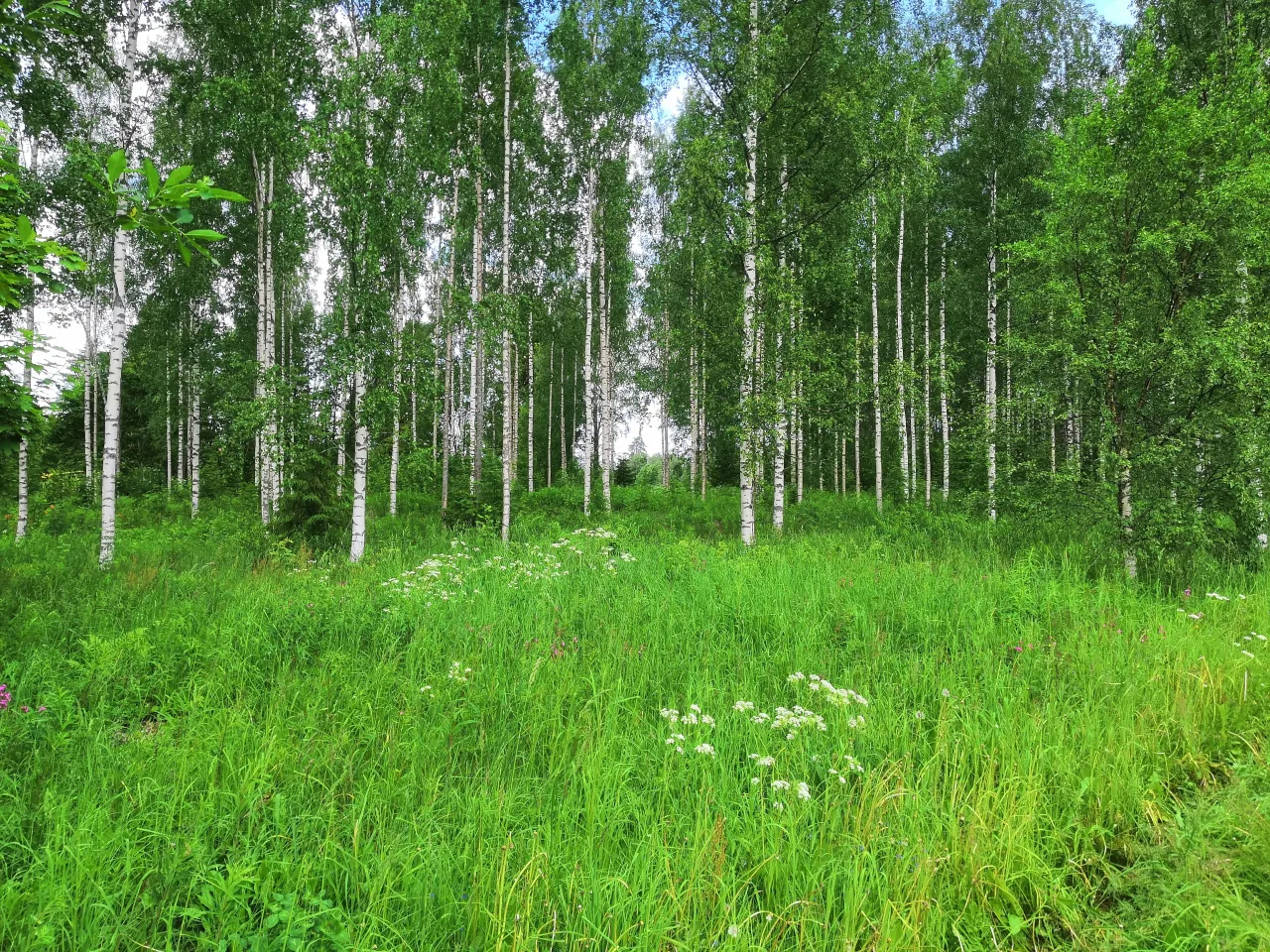 Дом в Савонлинне, Финляндия, 60 м² - фото 4