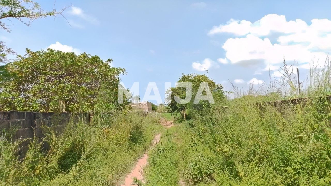 Земля Tujereng, Гамбия, 1 400 м² - фото 3