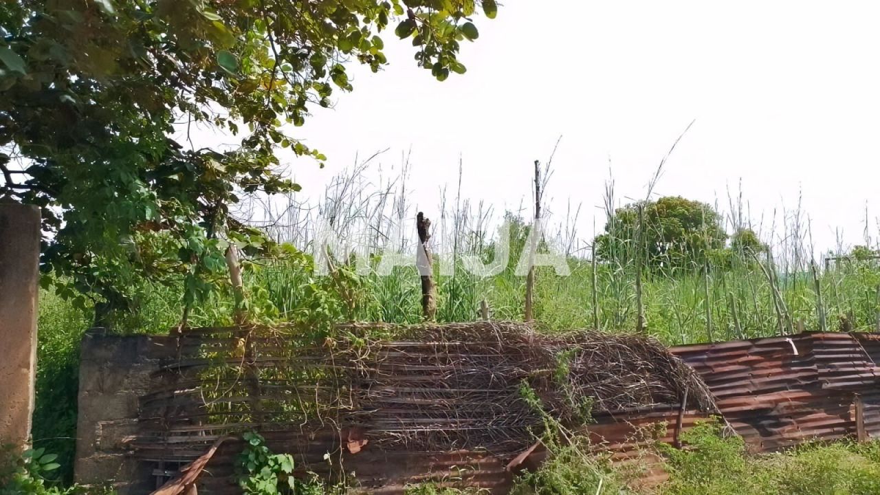 Земля Tujereng, Гамбия, 1 400 м² - фото 5