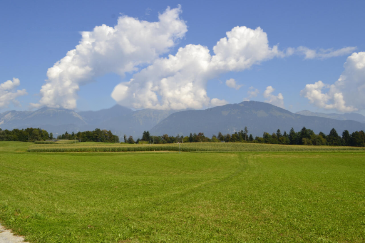 Земля в Медводе, Словения, 87 555 м² - фото 3