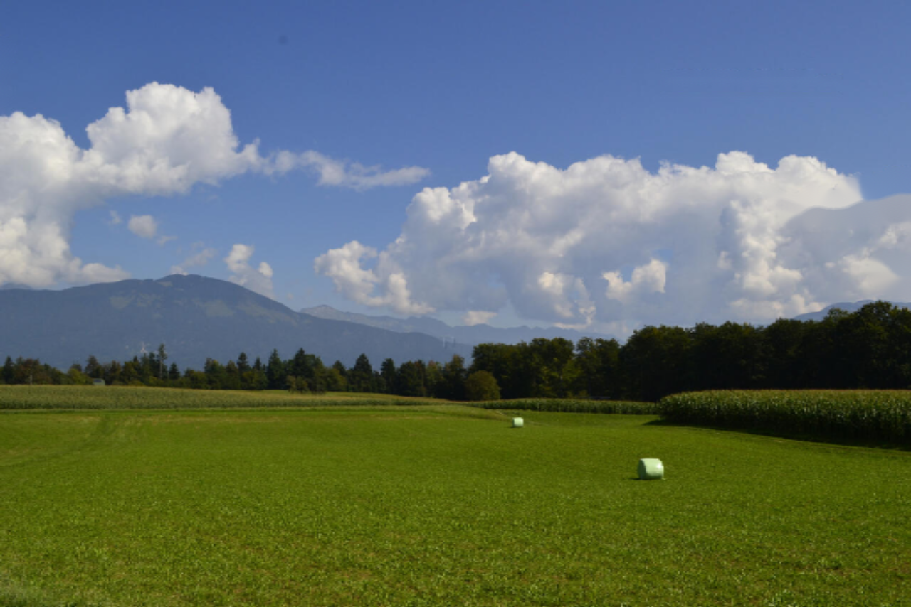 Земля в Медводе, Словения, 87 555 м² - фото 4