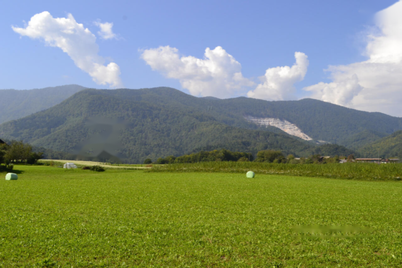 Земля в Медводе, Словения, 87 555 м² - фото 5