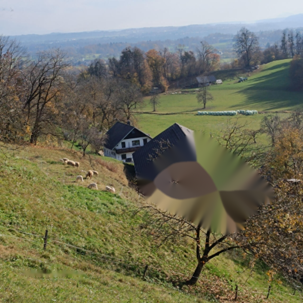 Земля в Бледе, Словения, 668 м² - фото 6