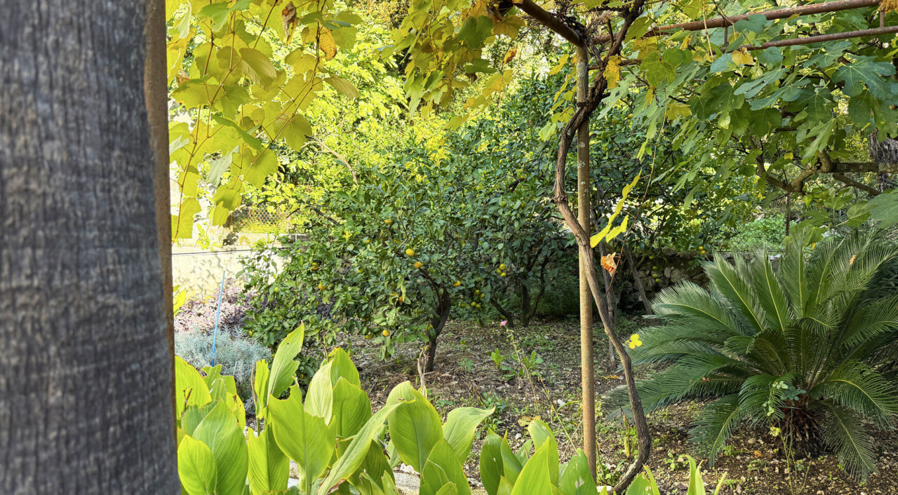 Дом в Ораховаце, Черногория, 115 м² - фото 18