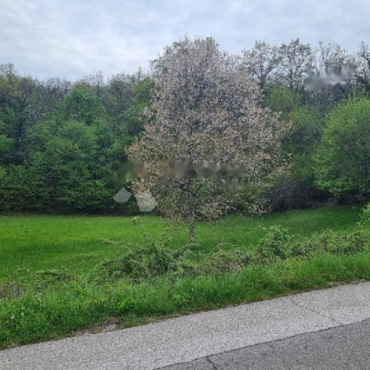 Дом в Опатии, Хорватия, 170 м² - фото 10