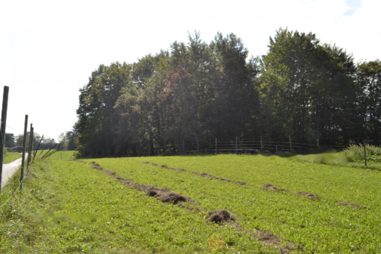 Земля в Медводе, Словения, 87 555 м² - фото 11