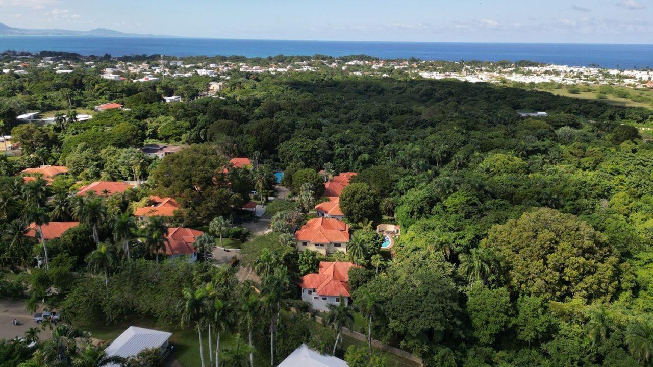 Дом в Сосуа, Доминиканская Республика, 120 м² - фото 11