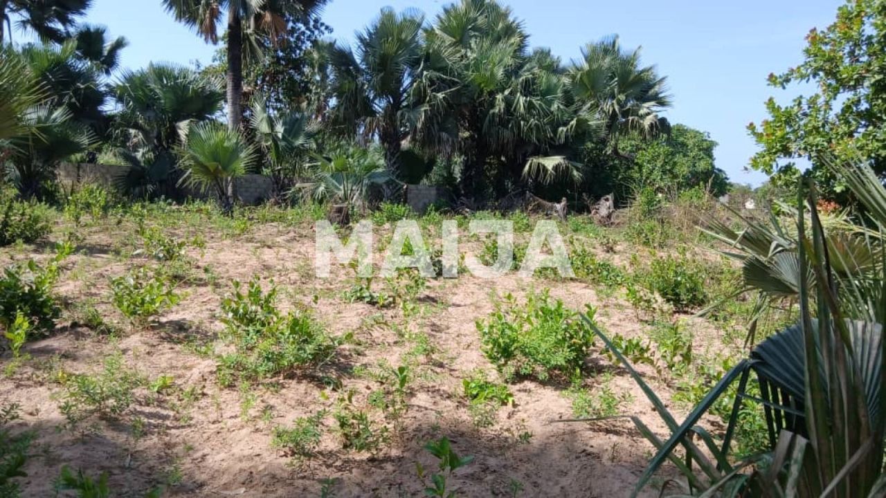 Земля Gunjur, Гамбия, 2 500 м² - фото 1