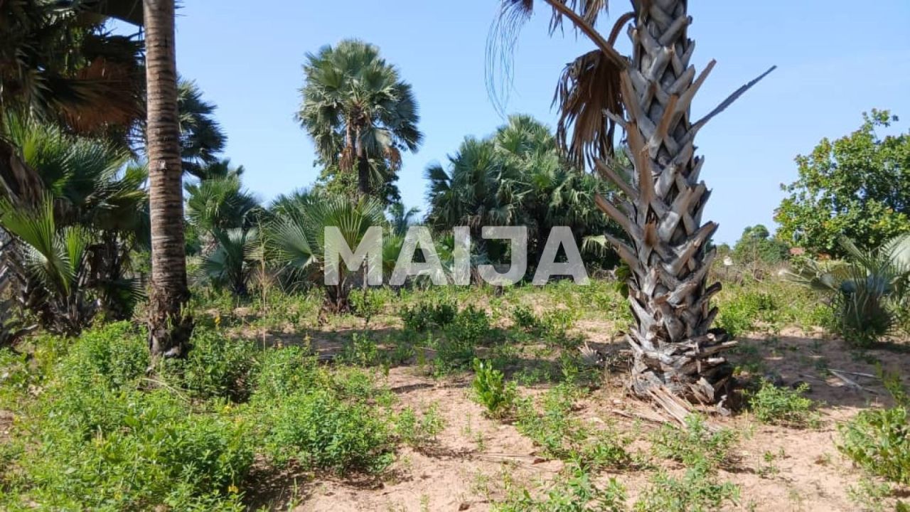 Земля Gunjur, Гамбия, 2 500 м² - фото 3