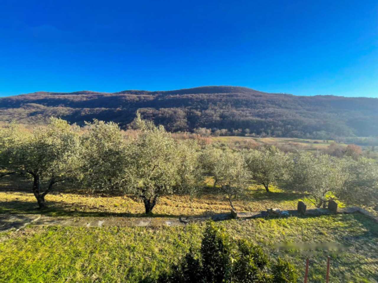 Дом в Портороже, Словения, 186 м² - фото 3