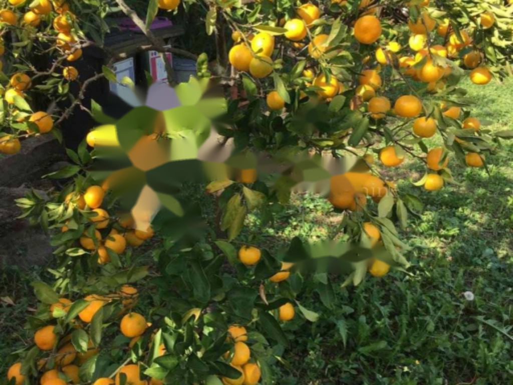 Квартира в Опатии, Хорватия, 92 м² - фото 4