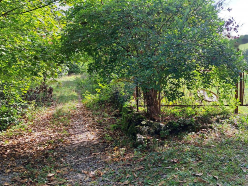 Дом в Опатии, Хорватия, 240 м² - фото 4