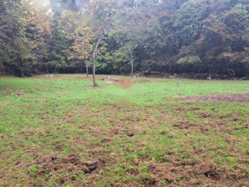 Дом в Опатии, Хорватия, 240 м² - фото 6