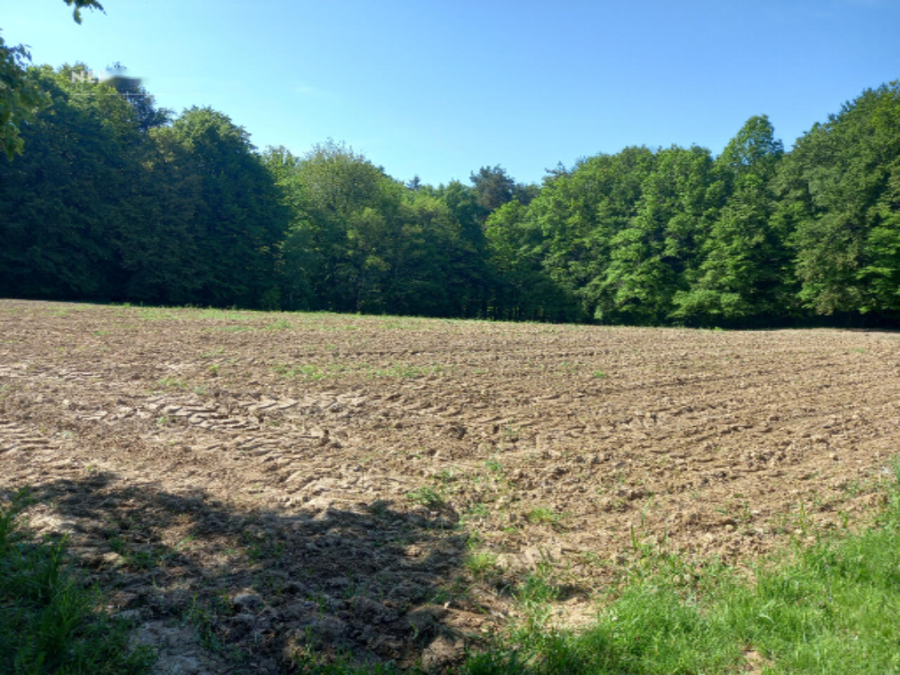 Дом в Горня-Радгоне, Словения, 90 м² - фото 7