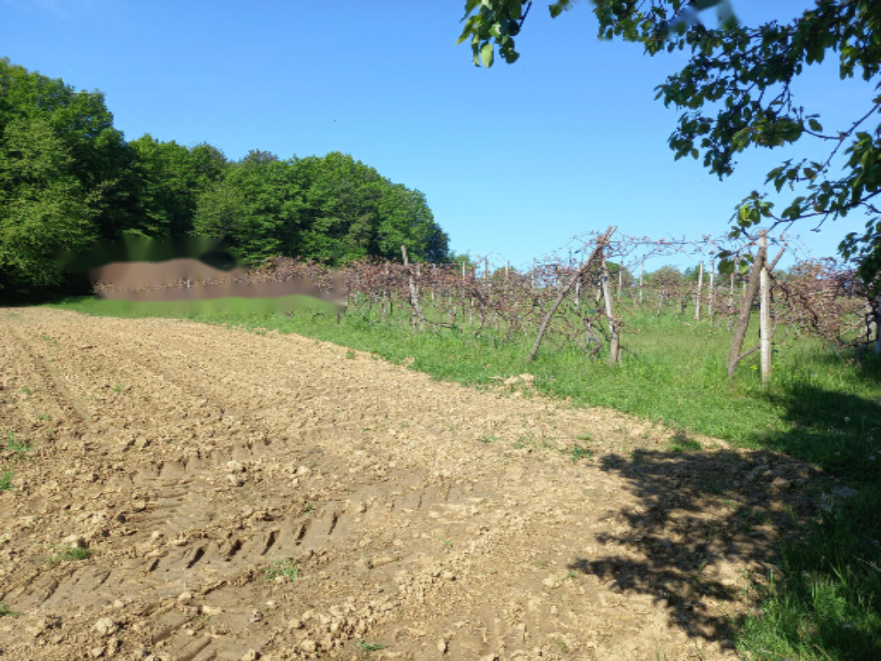 Дом в Горня-Радгоне, Словения, 90 м² - фото 8