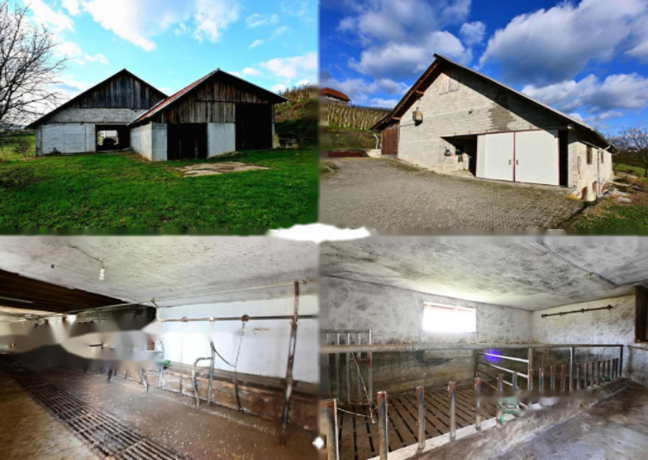 Ферма в Подчетртеке, Словения, 254 м² - фото 12