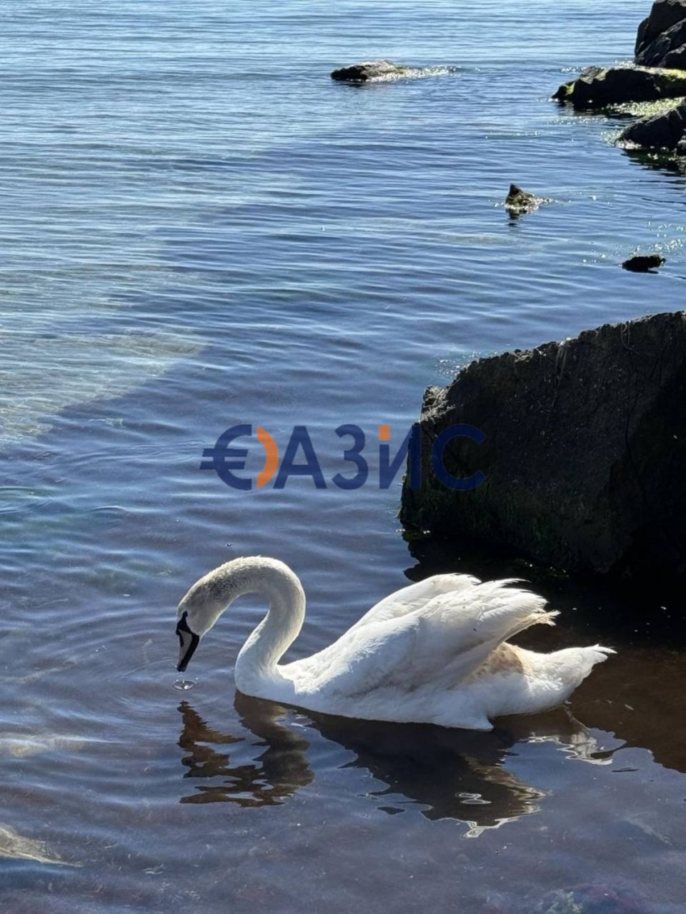 Апартаменты в Поморие, Болгария, 43.7 м² - фото 14