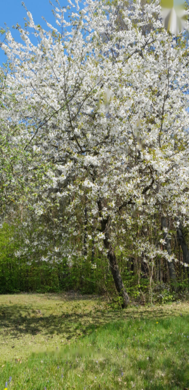 Дом в Горня-Радгоне, Словения, 90 м² - фото 15