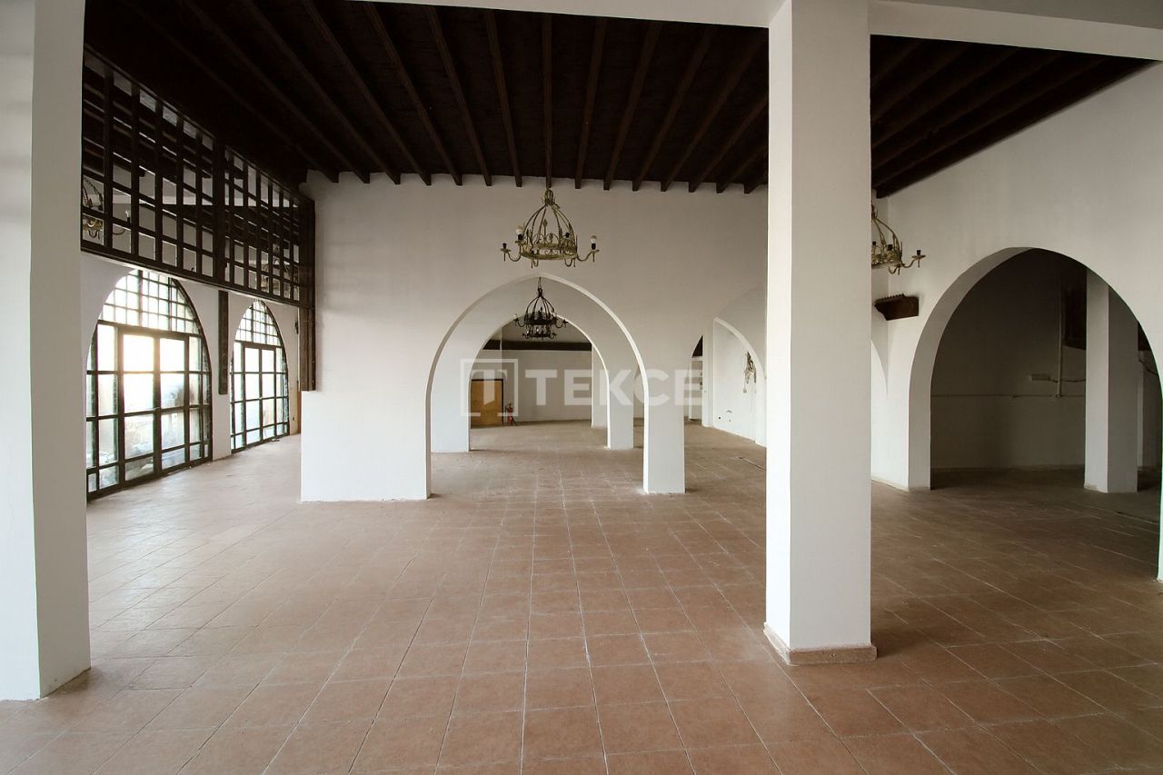 Кафе, ресторан в Кирении, Кипр, 400 м² - фото 11