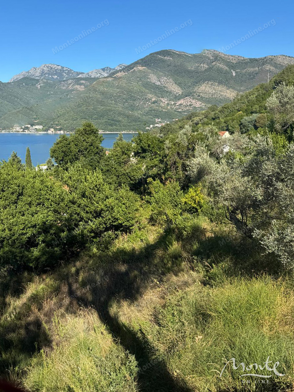 Земля в Тивате, Черногория, 3 161 м² - фото 2