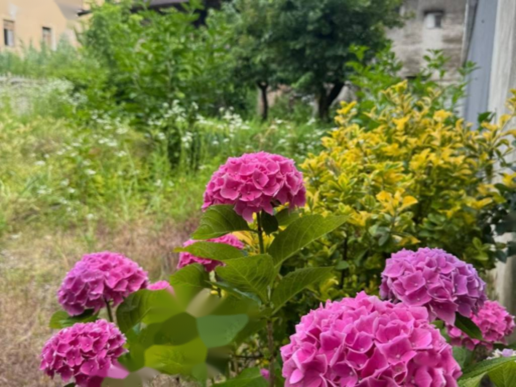 Квартира в Гориции, Италия, 119 м² - фото 1