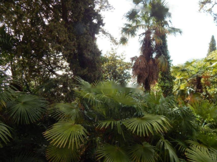 Квартира в Опатии, Хорватия, 244 м² - фото 10