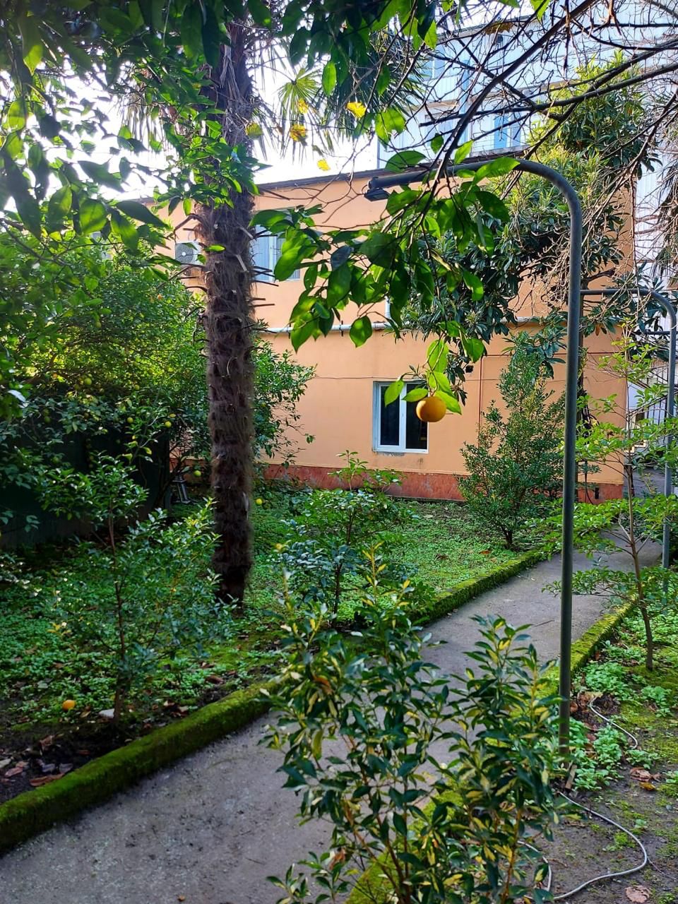 Дом в Батуми, Грузия, 256 м² - фото 4