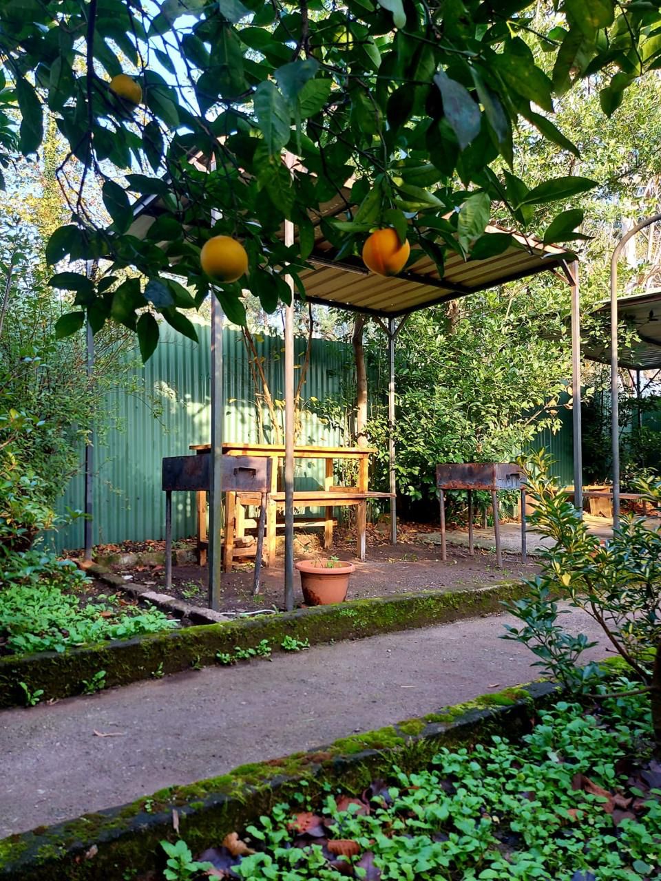 Дом в Батуми, Грузия, 256 м² - фото 12