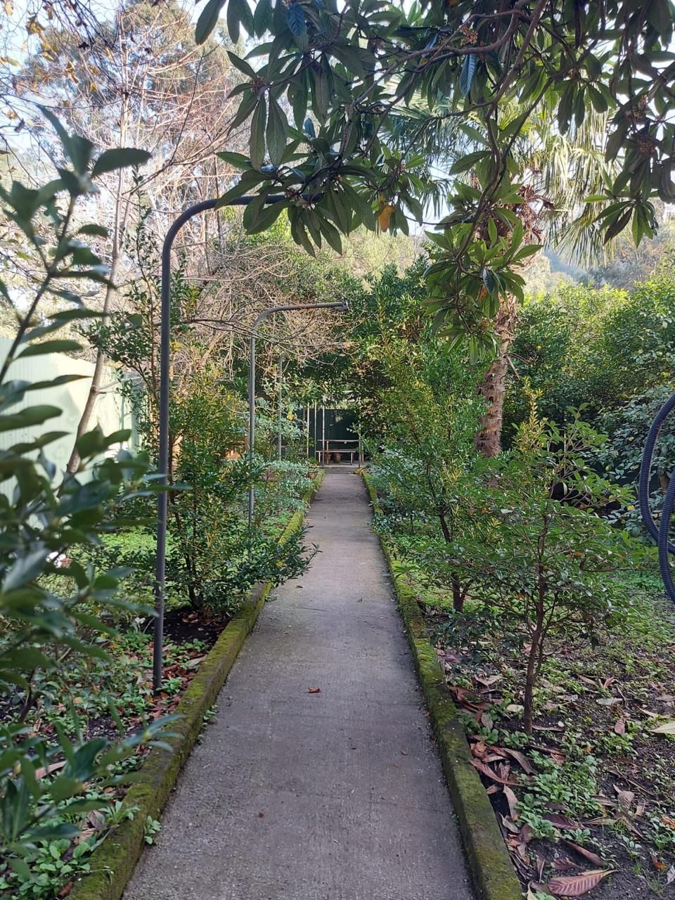 Дом в Батуми, Грузия, 256 м² - фото 9