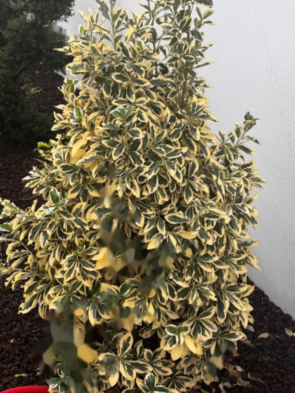 Квартира в Любляне, Словения, 233 м² - фото 1