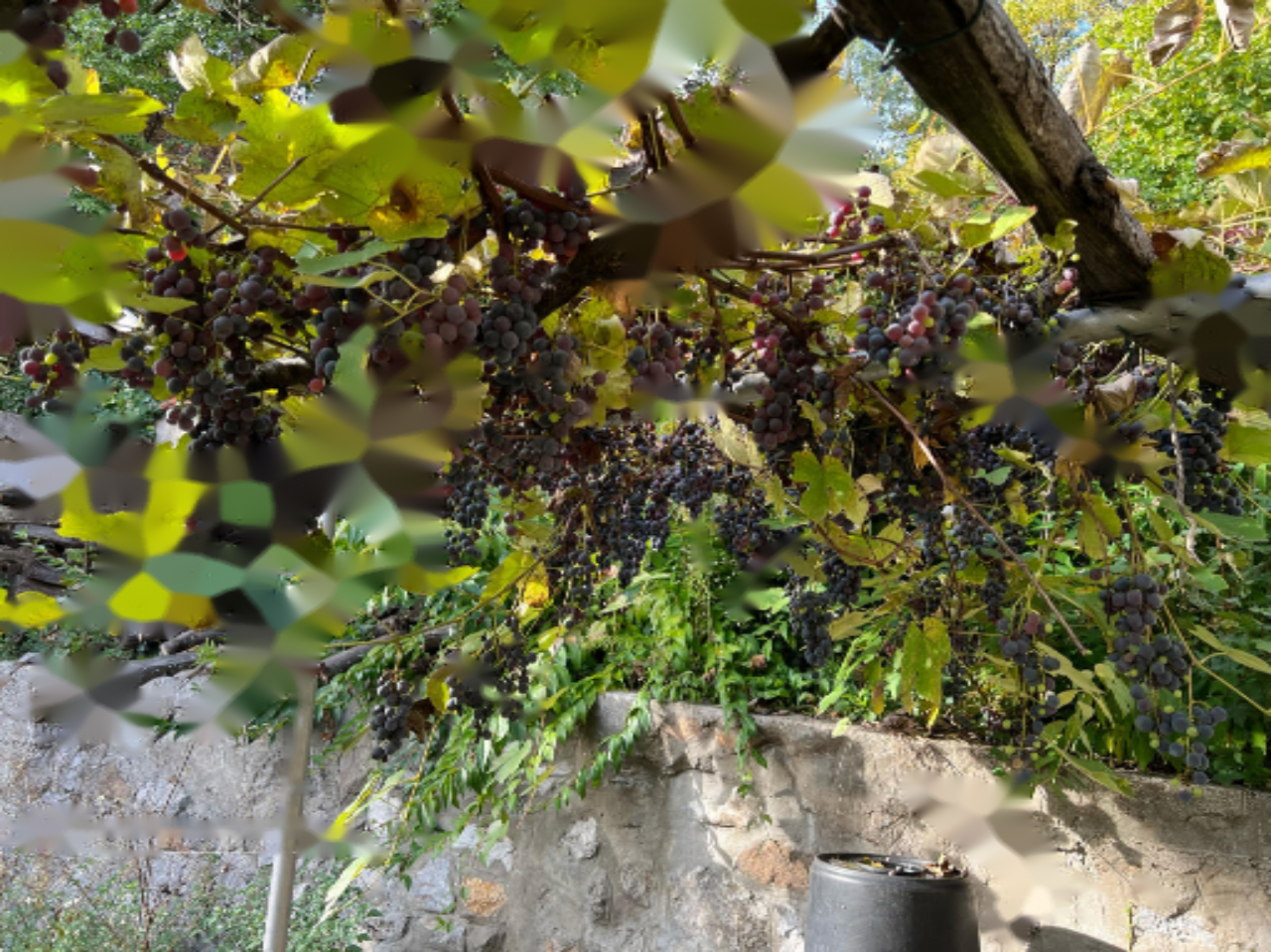 Квартира в Любляне, Словения, 262 м² - фото 1