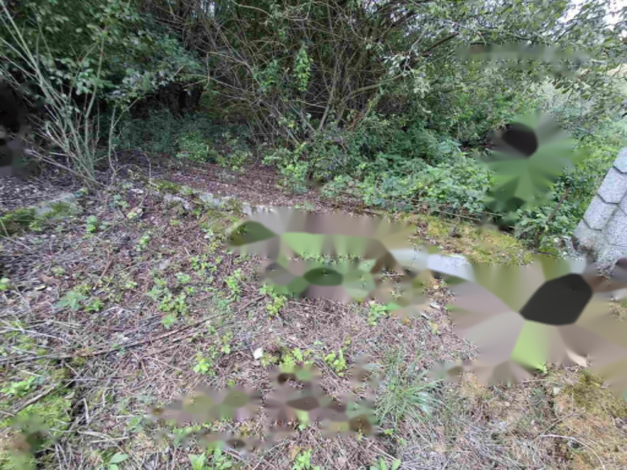 Дом в Любляне, Словения, 257 м² - фото 6