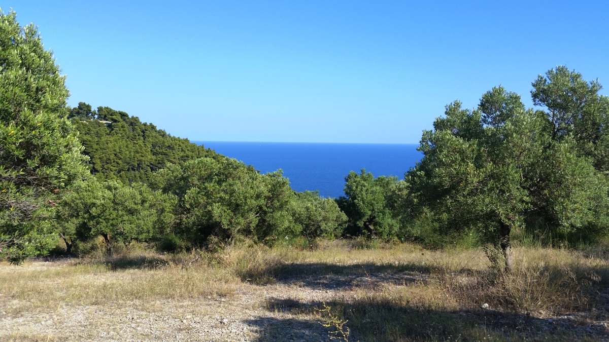 Земля на Кассандре, Греция, 9 100 м² - фото 4