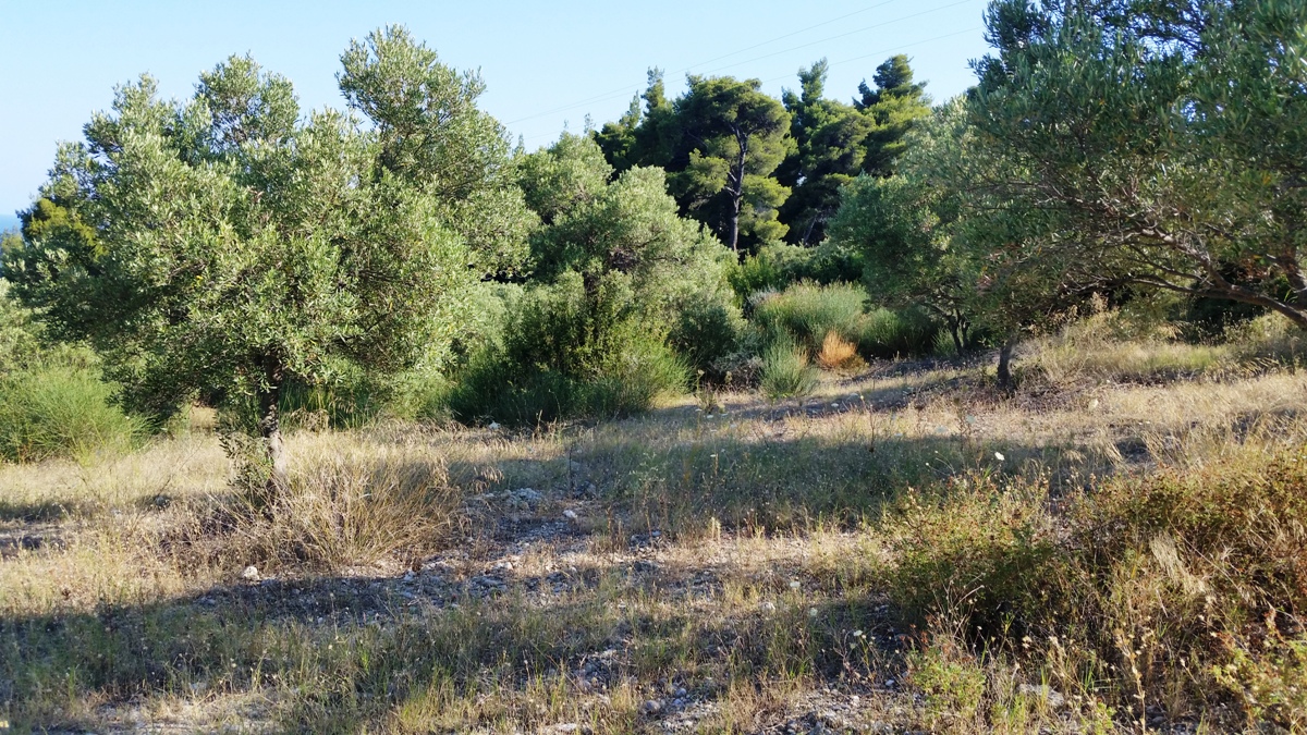 Земля на Кассандре, Греция, 9 100 м² - фото 5