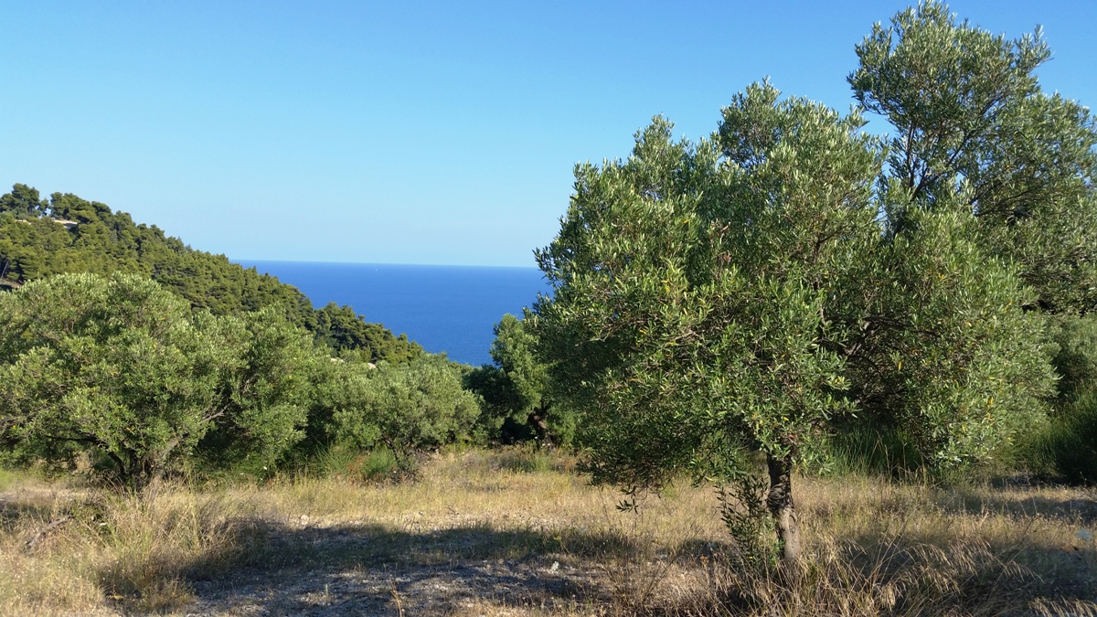 Земля на Кассандре, Греция, 9 100 м² - фото 8